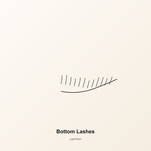 Bottom Lashes — development preview image