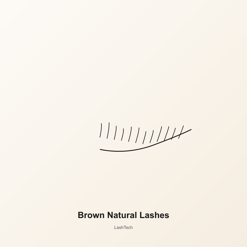 Brown Natural Lashes — development preview image