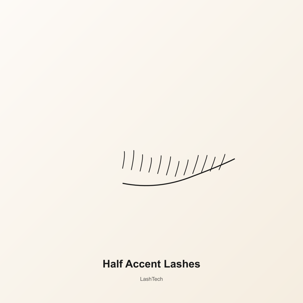 Half Accent Lashes — development preview image