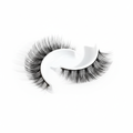 Bottom Lashes — development preview image